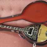 627 4650 Bouzouki